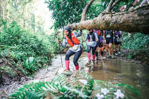 BIB: 
                            <button type="button" onclick="openModal(25475946)" class="btn btn-primary btn-sm float-right btn-popup" data-toggle="modal" data-target=".modal-high-quality">
                        <i class="fas fa-shopping-cart"></i> Add to Cart
                    </button>
                                            <button type="button" onclick="isThisMe(25475946, true)" class="btn btn-success btn-sm float-right btn-popup btn-isme hidden" data-toggle="tooltip" data-placement="bottom" title="นี่คือรูปของคุณใช่ไหม คลิกที่นี่เพื่อเอาเข้าอัลบั้ม">
                        <i class="fas fa-plus"></i> Add to album
                    </button>
                    <button type="button" onclick="isThisMe(25475946, false)" class="btn btn-warning btn-sm float-right btn-popup btn-isnotme hidden">
                        <i class="fas fa-ban"></i> Remove from album
                    </button>